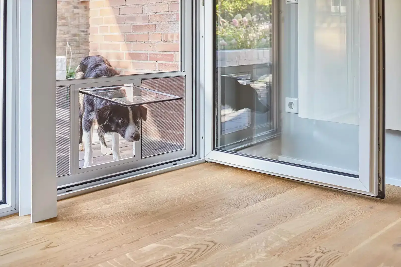 Insektenschutztür mit eingebauter Hundeklappe