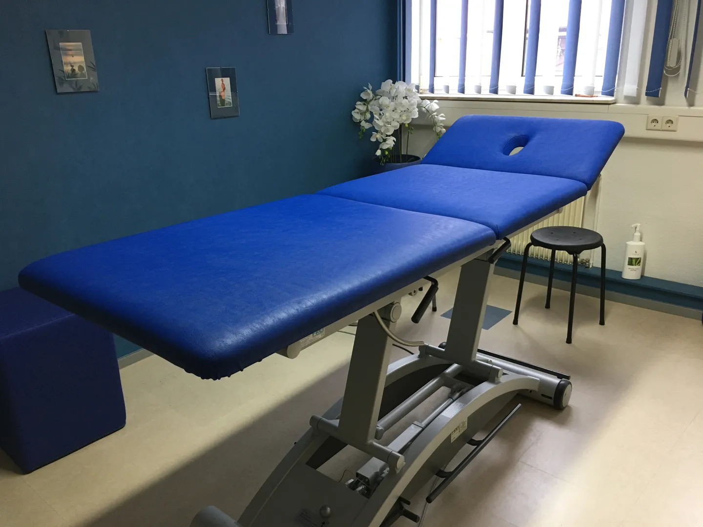 Blaue gepolsterte Behandlungsliege